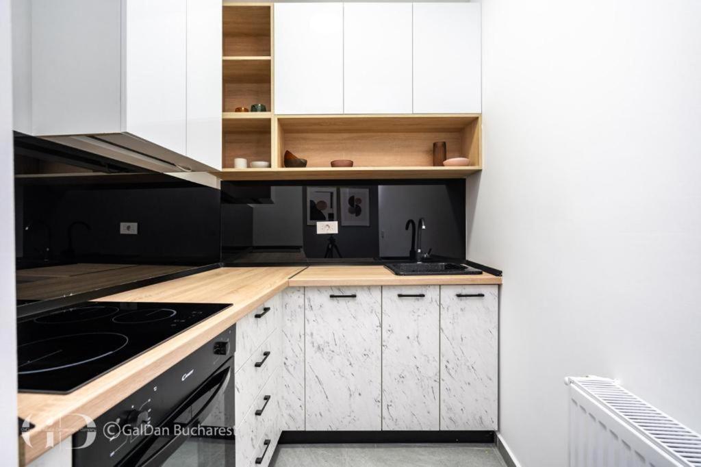 The Loft Luxury Apartments-Near The Park In The City Center Bukarest Eksteriør billede
