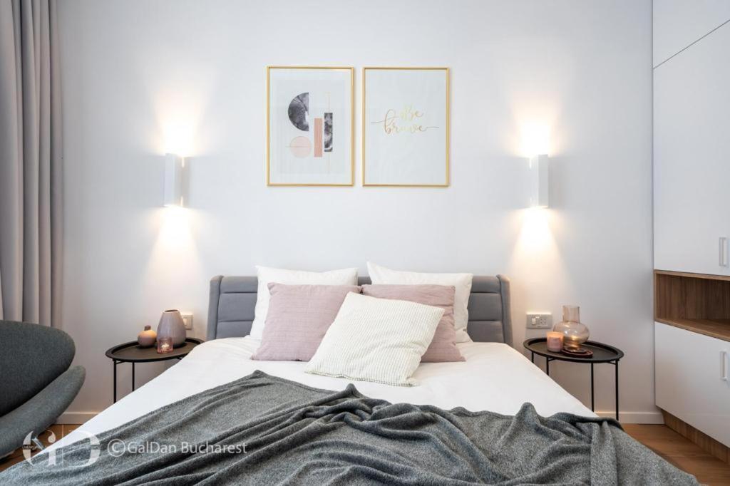The Loft Luxury Apartments-Near The Park In The City Center Bukarest Eksteriør billede